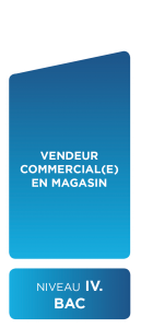 vendeur commercial en magasin - BAC