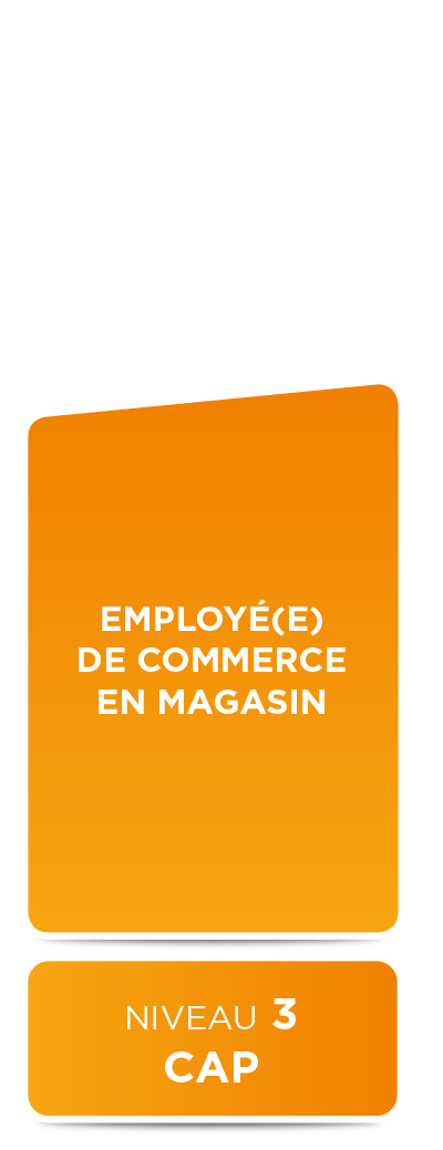 E2M • Employe de commerce (niveau 3)