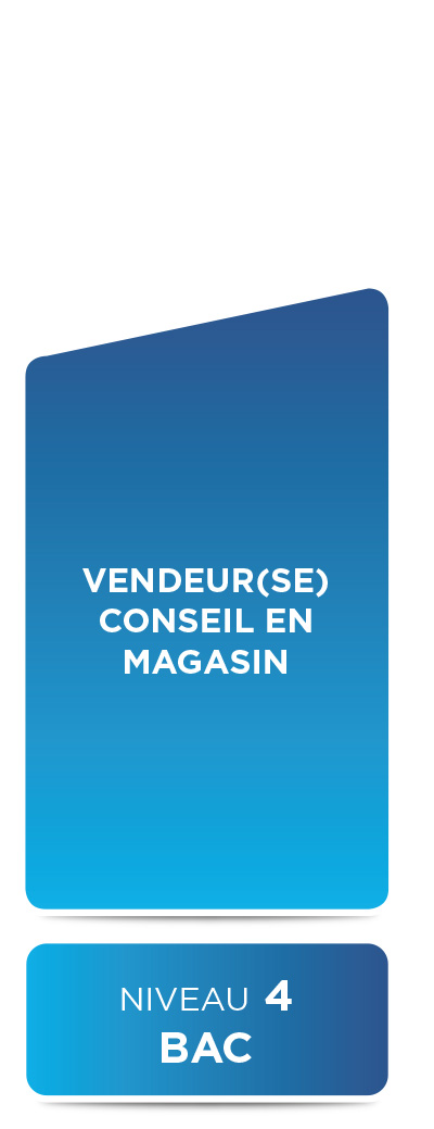 E2M • Vendeur conseil en magasin (niveau 4)