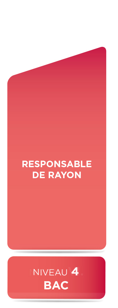 E2M • Responsable de rayon (niveau 4)