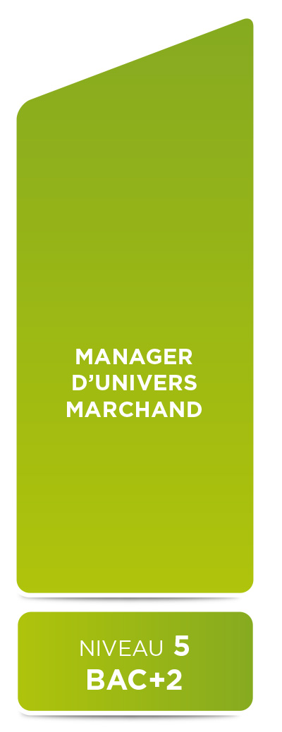 E2M • Manager d'univers marchand (niveau 5)