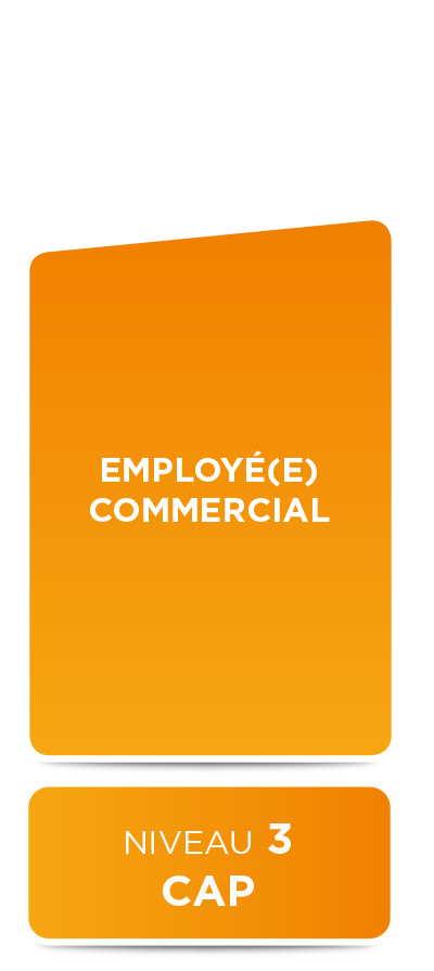 E2M - Alternance - Employé(e) commercial